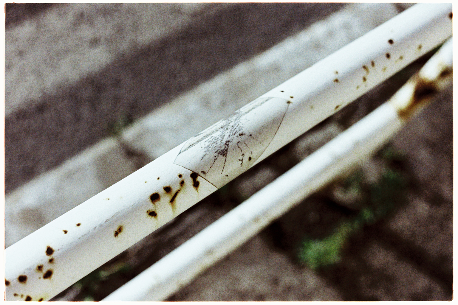 Vyvolání alternativní – Bleach Bypass